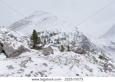 Winter Hiking