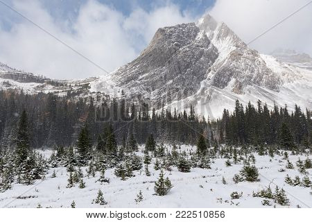 Winter Hiking
