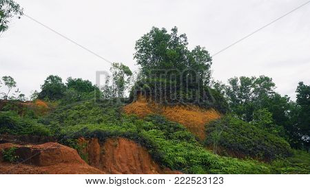 Beautiful view at a hillside of Kledang Hill located in Perak, Malaysia.