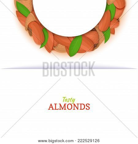 Semicircle frame composed of almond nut. Vector card illustration. Nuts filbert frame, hazelnut fruit in the shell, shelled, leaves for packaging design food, butter, oil, detox cosmetics cream