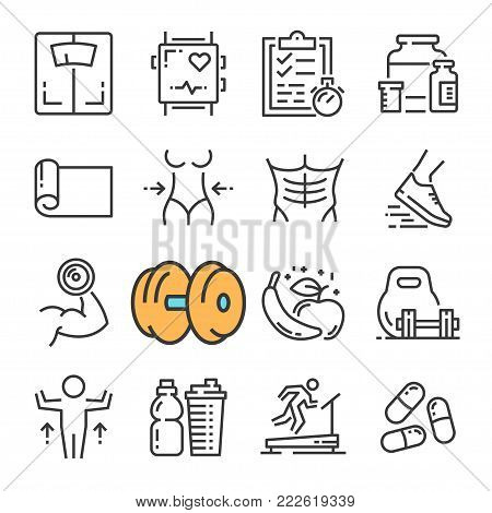 Vector black line Fitness Gym Equipment, Sports Recreation Activity icons set. Includes such Icons as Equipment Fitness, Body Woman and Man, Training. Pictogram