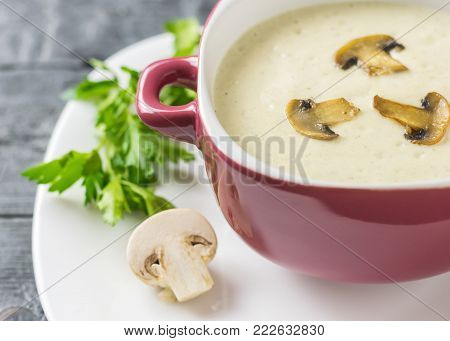 Freshly prepared cream soup of mushrooms with croutons on a white plate. Cream soup of mushrooms, potatoes and cream with spices. The decoration of raw mushrooms.