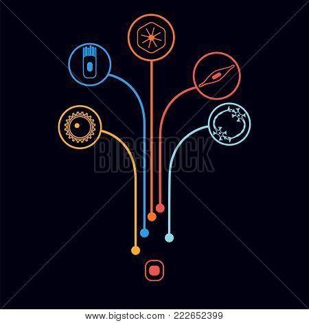 Different human cell types developing from a stem cell. Stock vector illustration of nerve, epithelial, muscle, blood, oocyte. Medicine and biology collection