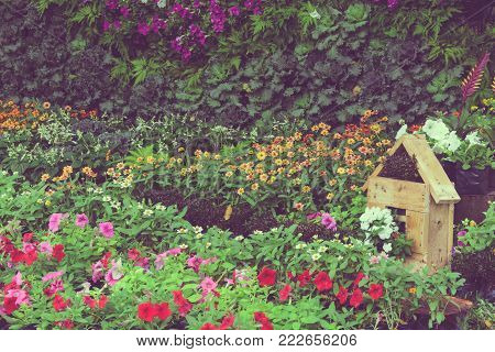 Ornamntal Colorful Flower Garden With Wooden House In The Park. Vintage Filtered Image