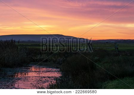 Sunset reflected in water over Pevensey Levels with South Downs on far horizon.