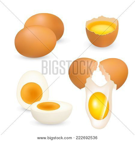 Chicken eggs set. Vector realistic illustration of brown whole and cracked raw eggs and hard-boiled cut in half egg isolated on white background. Healthy organic food concept.