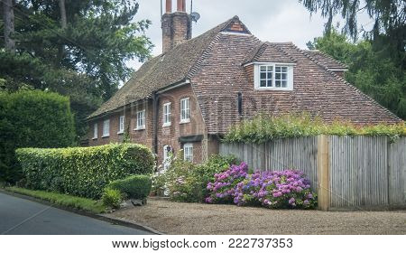 View of a pretty cottage with purple hydrangaes in the garden