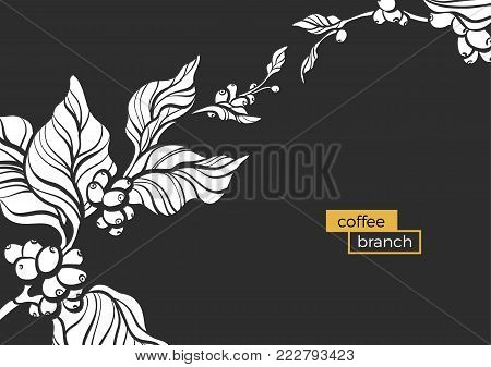Template with white branch of coffee tree, leaves and natural coffee beans Realistic organic product Silhouette, organic shape Botanical illustration. Vector design isolated on black background eps.10