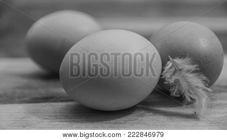 Monochrome photo of fresh eggs on a wooden table.