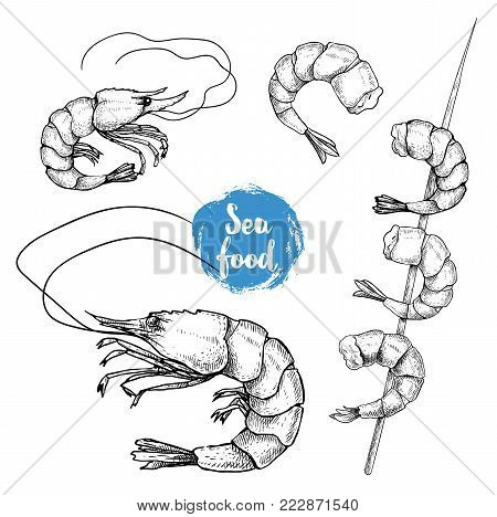 Hand drawn sketch style seafood set. Shripms, prawns, grilled shrimps on bamboo stickcollection vector illustrations.