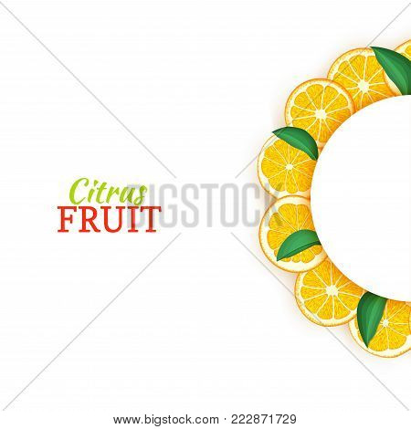 Semicircle white frame composed of delicious tropical oranges. Vector card illustration. Orange mandarin citrus half-round frame for design of food packaging juice breakfast cosmetics tea detox diet
