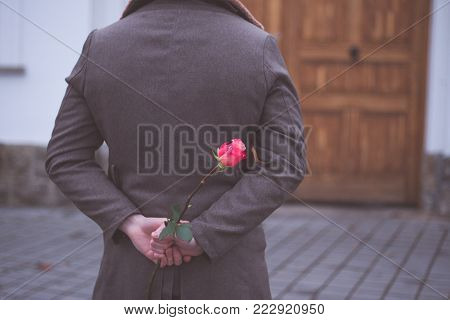 Man holding rose hiding on back at the park. Womans / Valentines Day concept.