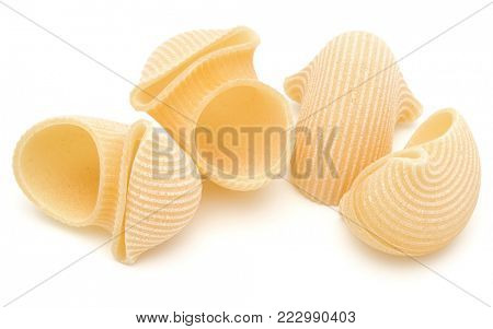 Italian lumaconi isolated on white background. Lumache, snailshell shaped pasta.