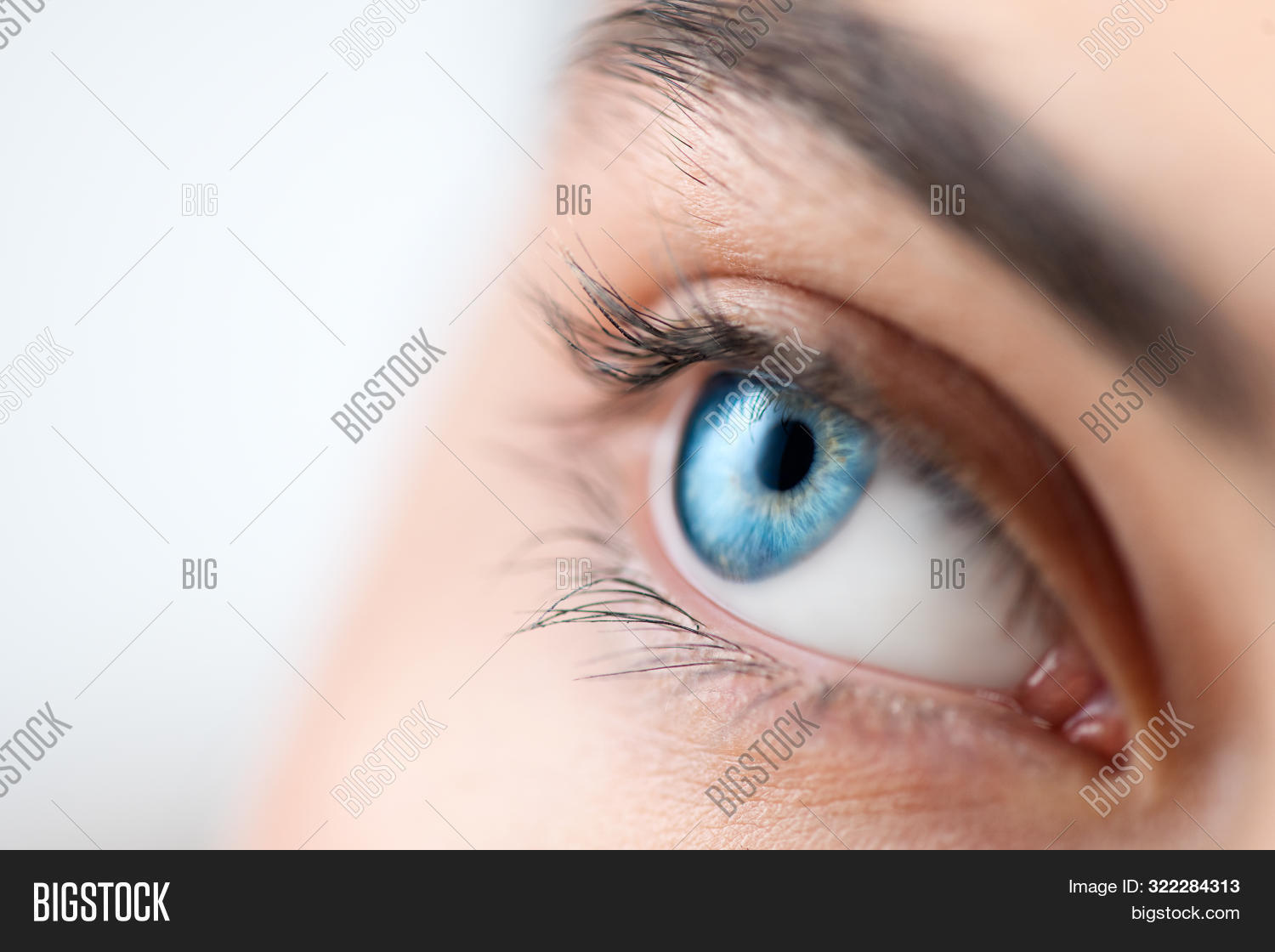 Beautiful Human Eye Image Photo Free Trial Bigstock
