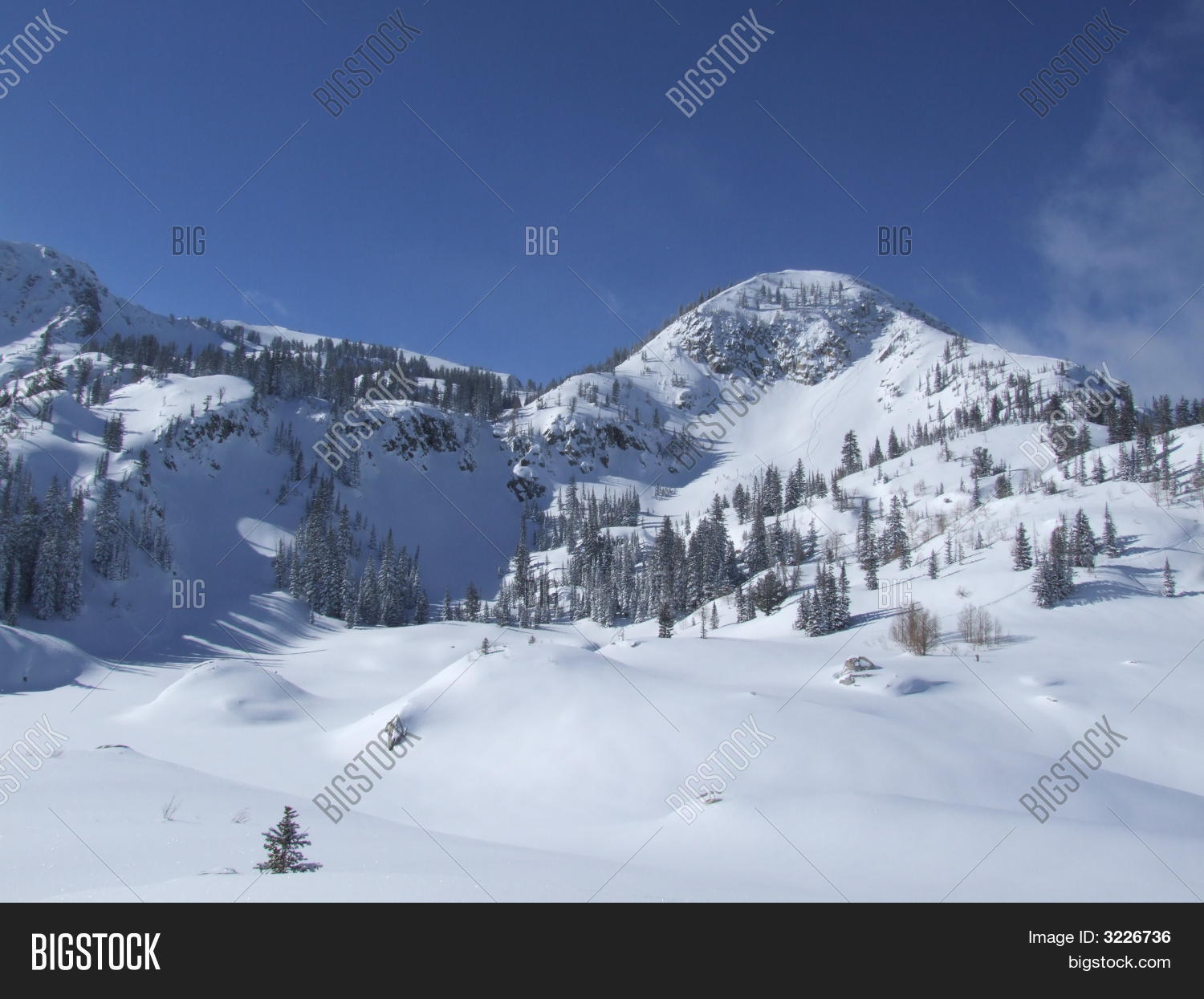 Image Preview