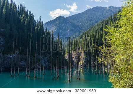 Kaindy Lake - Mountain Lake In Kazakhstan
