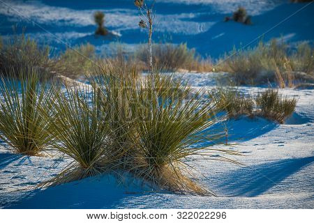 Sunset At White Sands National Monument, Alamogordo, New Mexico
