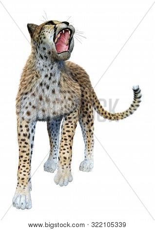 3D Rendering Big Cat Cheetah On White