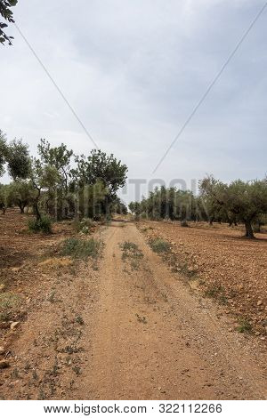 Road Through The Mountains Of The Senia