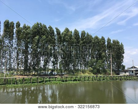 Khlong Preng Canal In Country Chachoengsao Thailand