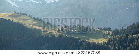 Alpine Scenery With Forest Ridge In Summer