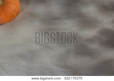 Autumn Pumpkin Lies On A Canvas With A Pattern Of Shadows Of Maple Leaves, Which Draws Sunlight