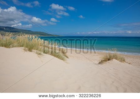 Little Dunes With Plants And Atlantic Ocean In Beach Of Cadiz