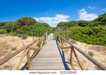 Wooden Planks Footbridge In Trafalgar Cape Natural Park To The Forest