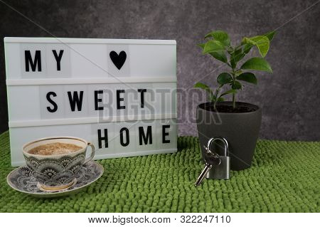 My Sweet Home Concept. Green Grass And Tree On Grey Background