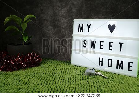 My Sweet Home Concept. Green Grass And Tree On Grey Background