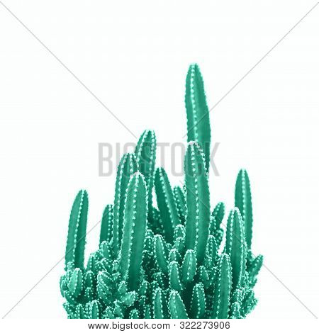 Trendy Green Cactus Fairy Castle Layers Isolated On White. Environment Friendly Minimal Mock Up