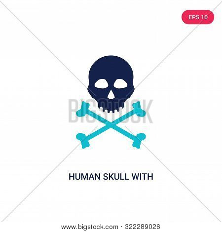 human skull with crossed bones icon in two color design style.