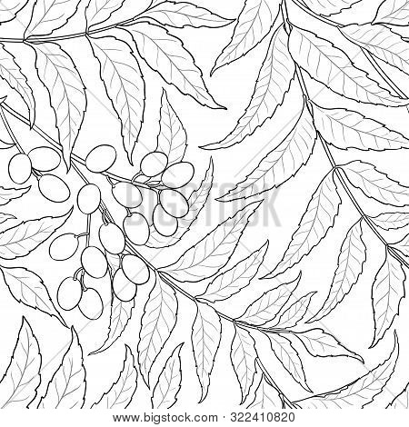 Neem Branches Vector Pattern On White Background