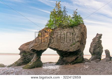 Flower Pot Formations Along The Bay Of Fundy In Hopewell Rocks Park, New Brunswick, Canada
