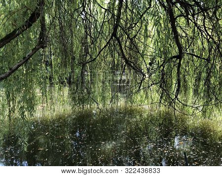 The First Lake In Maksimir Park Or Prvo Jezero U Parku Maksimir - Zagreb, Croatia (hrvatska)