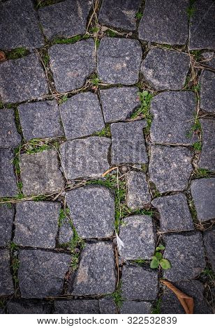 Old Stoneblock Pavement Cobbled With Square Granite Blocks With Green Grass Sprouted Texture With Vi