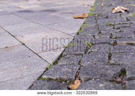 Old Stoneblock Pavement Cobbled With Square Granite Blocks With Green Grass Sprouted At Autumn. Back