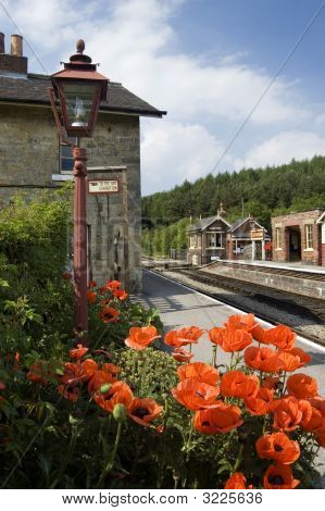 Levisham 駅