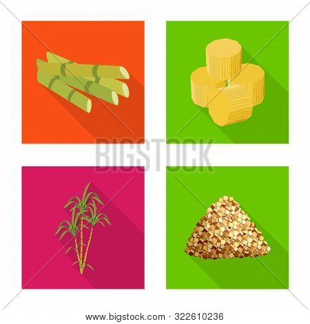 Isolated Object Of Plant And Plantation Sign. Set Of Plant And Agriculture Stock Symbol For Web.