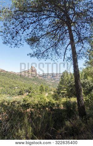 Mountains In The Prat De Comte De Tarragona