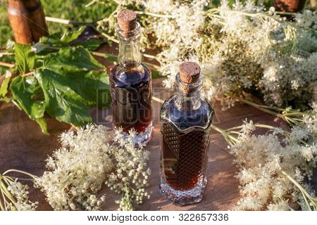 Homemade Herbal Tincture With Fresh Blooming Meadowsweet Plant, Outdoors