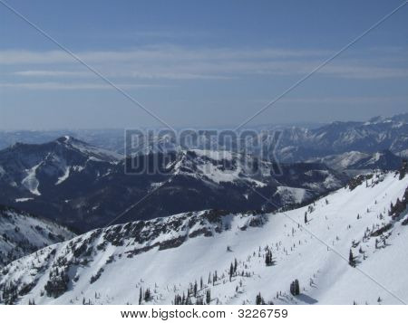 Wasatch