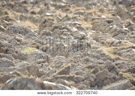 Arable Land In The Countryside. Farmland Landscape. View Of Agricultural Land Prepared For Sowing. P
