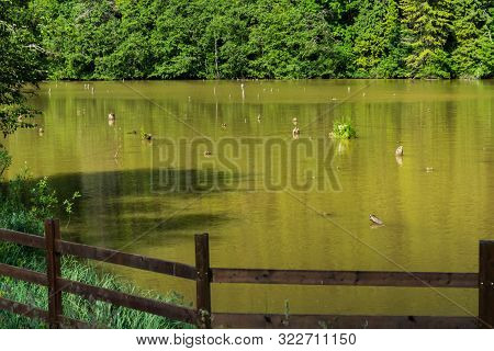Red Lake (also Known As Lake Ghilcoş Or The Killer Lake) Is A Natural Dam Lake Formed Following The 