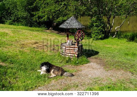 Playful Dog And A Fountain On The Shore Of The Red Lake (also Known As Lake Ghilcoş Or The Killer La