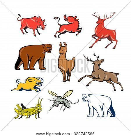 Set Or Collection Of Cartoon Character Mascot Style Illustration Of Wildilfe Animals Like Wild Boar,