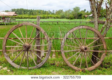 Wagon Wheel. Old Wagon Wheel On Rice Farm.