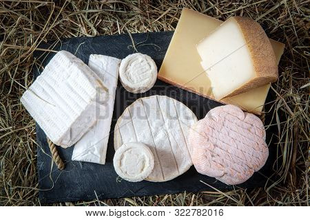 Different Delicious French Cheeses On The Straw