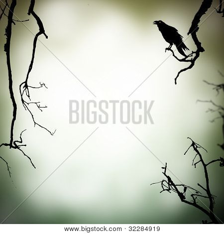 grauen Hintergrund