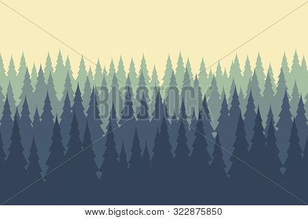 Forest, Colored Illustration. Pine Tree. Vector. Background.